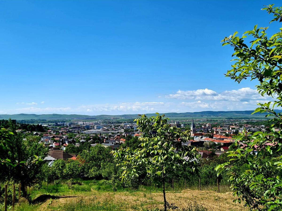 Bella Vista Bungalow Turda Exteriör bild